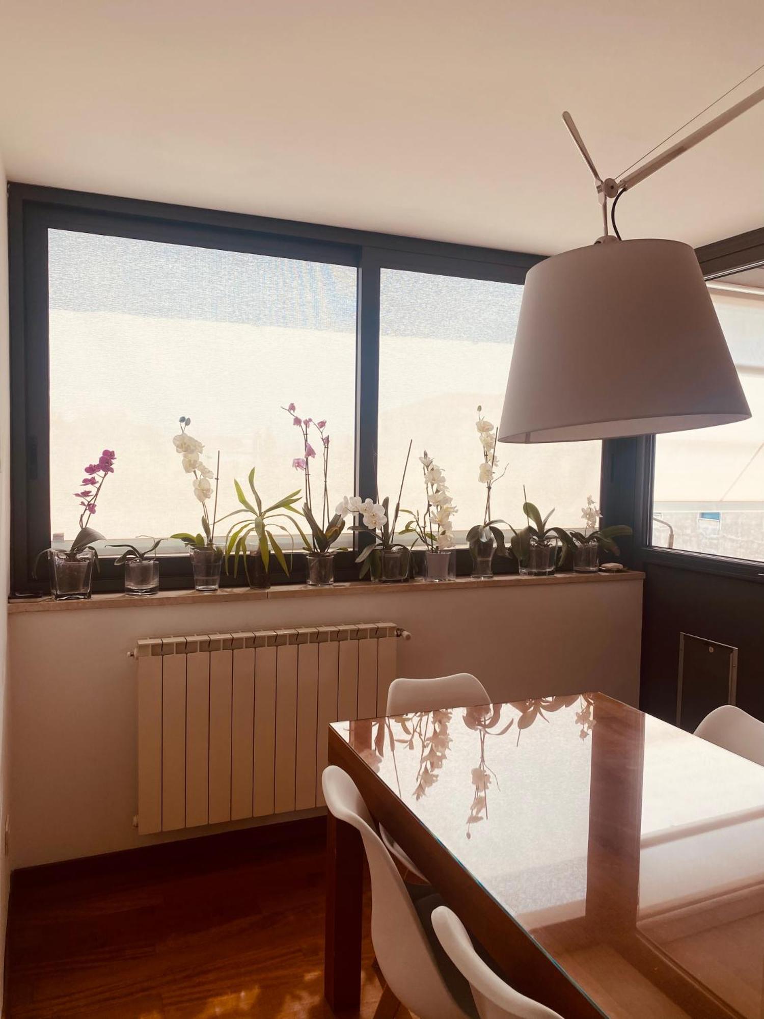 דירות פירנצה La Casa Di Dani מראה חיצוני תמונה
